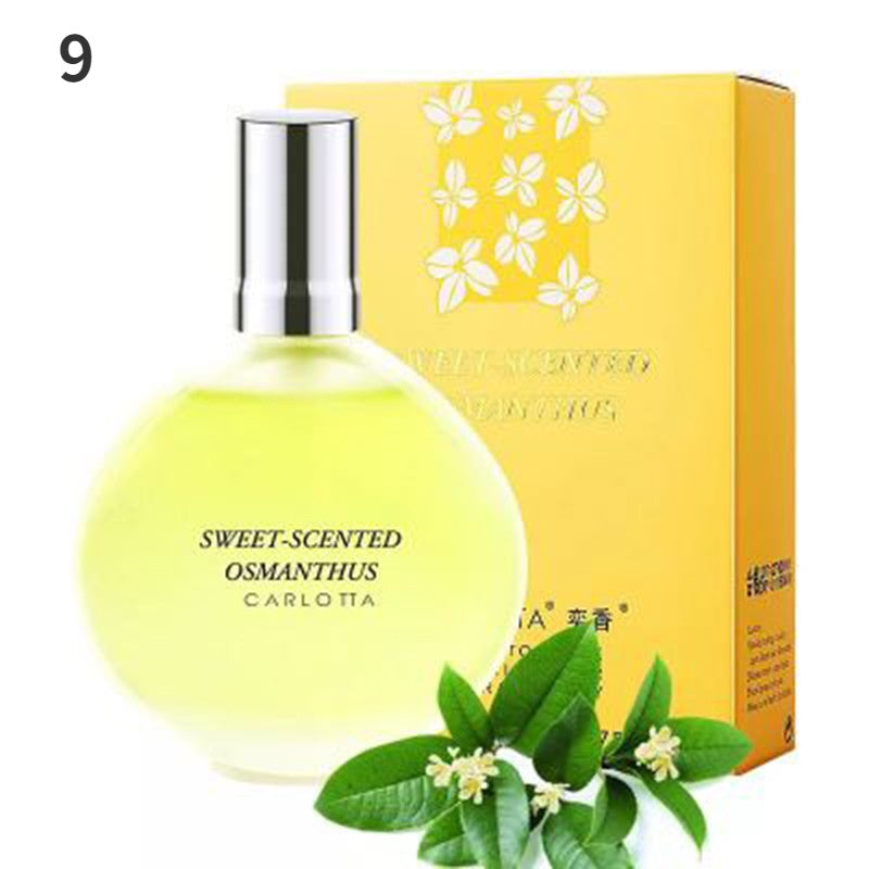 Professional Women's Perfume Long Lasting Ladies Fragrances Body Perfume Female Charming Glass Bottle Spray Perfume
